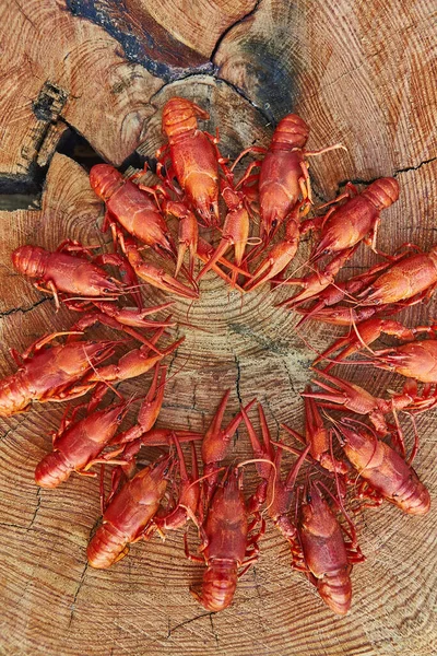 Crawfish dimasak dan disajikan di latar belakang kayu — Stok Foto