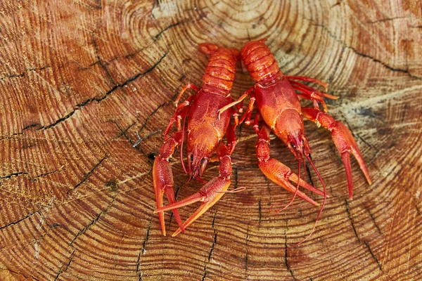 Crawfish dimasak dan disajikan di latar belakang kayu — Stok Foto