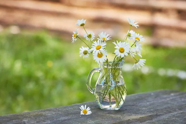Charming still life with copy space chamomilles and daisies in water — Stok Foto