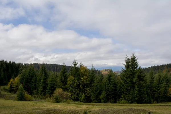 Blick von der Spitze des Berges. dunkelgrüne Hänge und Hügel der Karpaten. Schöne Sicht auf die Berge. am frühen Morgen. Schneebedeckte Berggipfel. nebliger Morgen. Eisenbahn. Herbsttag. Hügel — Stockfoto