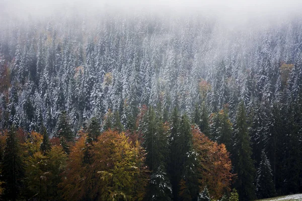 Vista desde la cima de la montaña. Pendientes de color verde oscuro y colinas de los Cárpatos. Bonita vista de las montañas. Temprano. Montañas cubiertas de nieve. Mañana brumosa. Ferrocarril. Día de otoño. Colinas — Foto de Stock