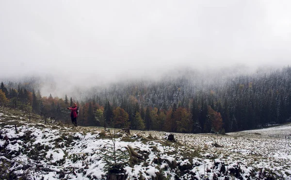 Vista dalla cima della montagna. Piste verde scuro e colline dei Carpazi. Bella vista sulle montagne. La mattina presto. Cime innevate. Mattinata nebbiosa. Ferrovia. Giorno d'autunno. Colline — Foto Stock