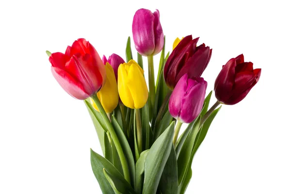 Bouquet de tulipes Photos De Stock Libres De Droits
