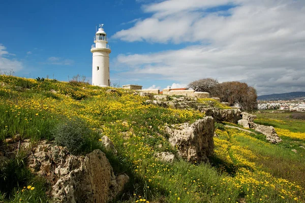 Lighthouse on the flowered meadow