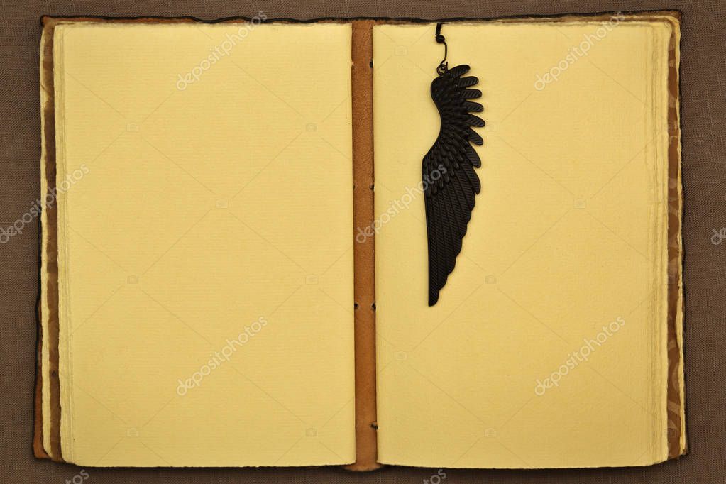 Картинки открытая книга с пером