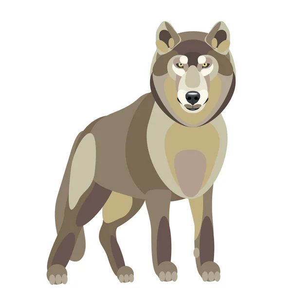 Vector illustration of wolf on a white background — Stock Vector
