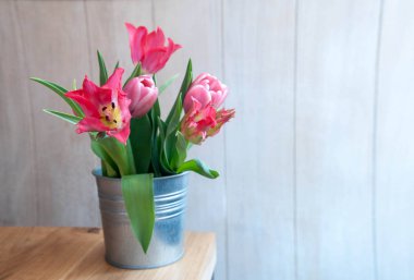 tencerede pembe tulipans