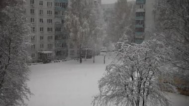 Kar yağışı, şehir, avlu, büyük kar taneleri,