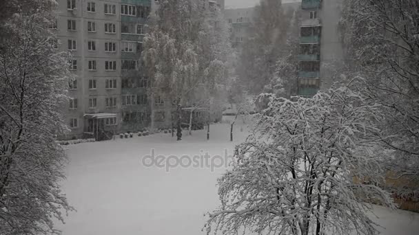 Nieve, ciudad, patio, grandes copos de nieve , — Vídeo de stock