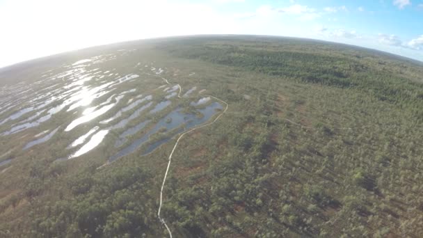 Pantano, vista de pájaros, hermosa vista desde arriba, dron. Viajero siguiendo rastro en pantano. Camino del pantano, sendero. Filmado por drone . — Vídeos de Stock