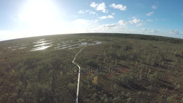 Mocsár, madártávlatból nézet, gyönyörű felülről, drone. Utazó mocsárban nyomvonal követően. Mocsári road, nyom. Forgatták a drone. — Stock videók