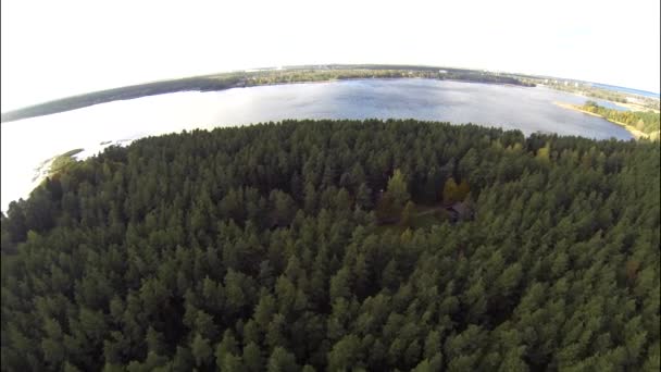 Drone ile filme çam ormanı içinde eski değirmen. — Stok video