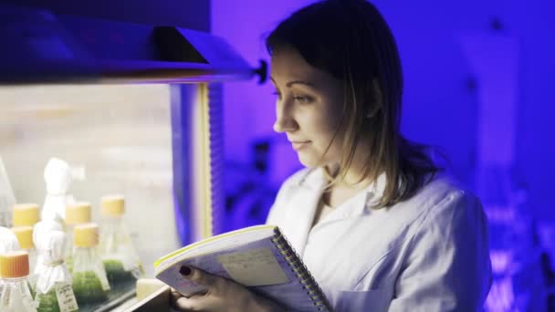 Pan záběr žena vědce prohlíží centrifugy pracovní — Stock video