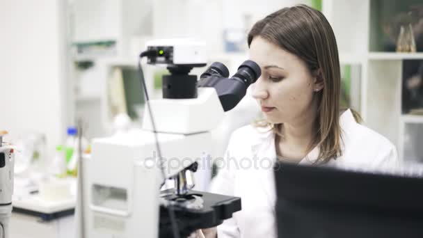 Vrouw wetenschapper klaar om te beginnen met het onderzoek van de Microscoop — Stockvideo