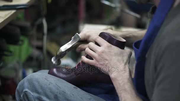 Cobbler hammering handmade woman shoe, side view — Stock Video