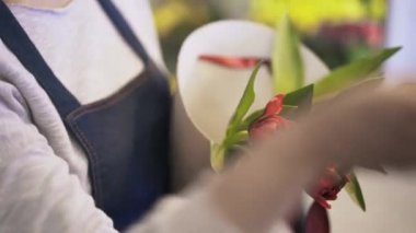 Kadın çiçekçi el konik bir kutu içinde kırmızı gül koyarak kapatın