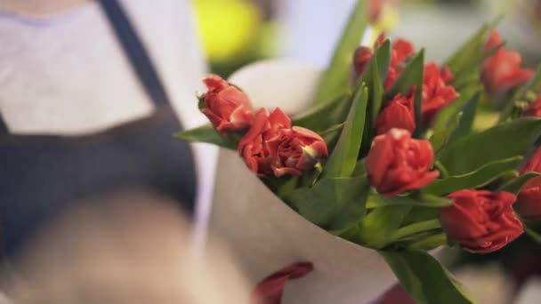 Närbild på florist arrangerar röda blommor — Stockvideo