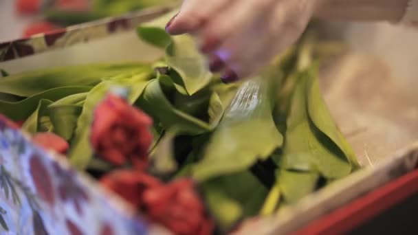 Флорист кладе червоні квіти в коробку з плюшевою іграшкою — стокове відео