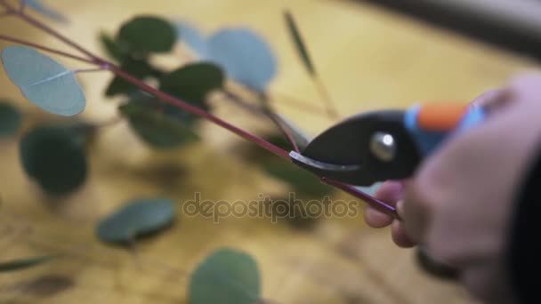 Zbliżenie na ręce s Kwiaciarnia cięcia gałęzi i liści — Wideo stockowe
