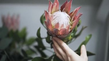 Güzel bir çiçek tutan ve bir vazo koyarak kadın çiçekçi