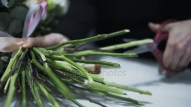 Bir çiçekçi çiçek dalları makasla kesme, yakın çekim