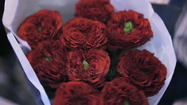 Woman florist holding a beautiful bouquet of dark red roses, tilt up — Stock Video