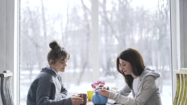 Deux jeunes femmes buvant du thé dans un café — Video