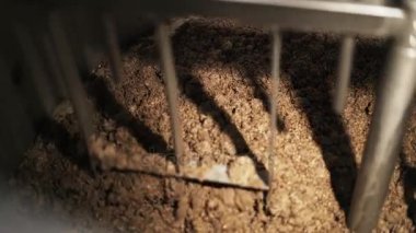 Özel bira bira fabrikasında bir makine tarafından karıştırılır malt