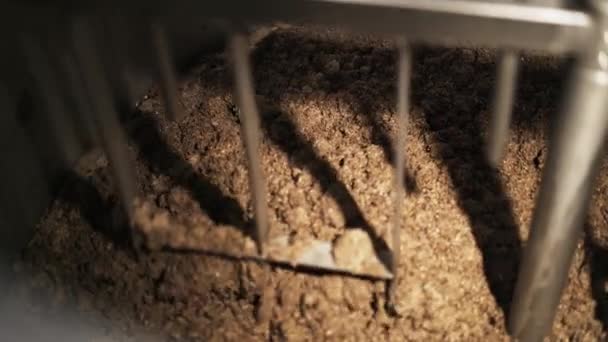 Размешивание солода в пивоваренном заводе на заказ машиной — стоковое видео