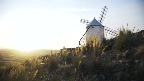 Bir yel değirmeni Consuegra, Toledo Eyaleti, Castilla la Mancha, İspanya içinde arka görünümü — Stok video