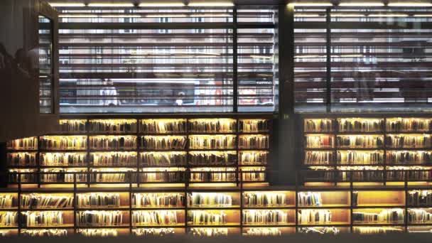 Biblioteca Museo Nacional Centro de Arte Reina Sofia — Video Stock