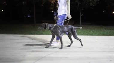 Büyük Köpeğiyle yürüyen tanınmaz halde genç kadın