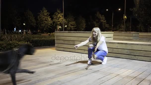 Dog running to her master in a night park on a summer day — Stock Video