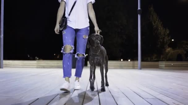 彼女の犬と一緒に歩いている認識できない若い女性 — ストック動画