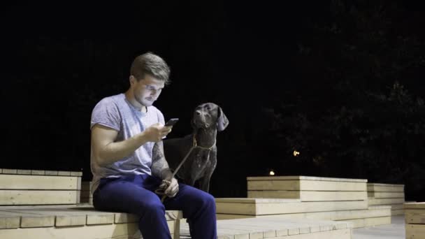 Fair cabelo cara web surf em um banco em um parque noturno com seu cão — Vídeo de Stock