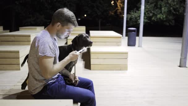 Pretty guy web surfing on a bench in a night park with his dog — Stock Video