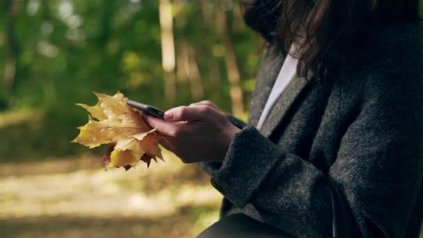 Mujer joven irreconocible mensajes de texto en el bosque de otoño — Vídeo de stock