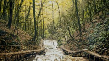 Güzel su cascade ahşap