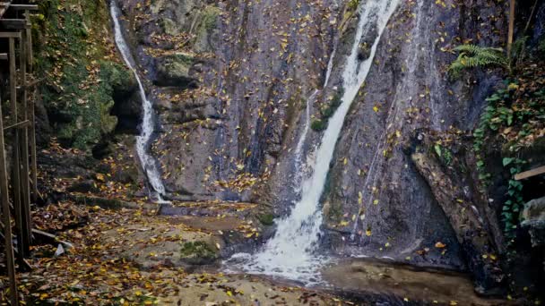 Fast small waterfall on a summer day — Stock Video