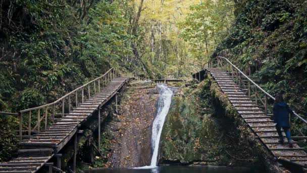 Turista mujer caminando cerca de una hermosa cascada en el bosque — Vídeos de Stock