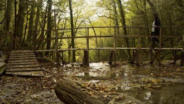 Mujer joven cruzando un río usando un puente — Vídeos de Stock