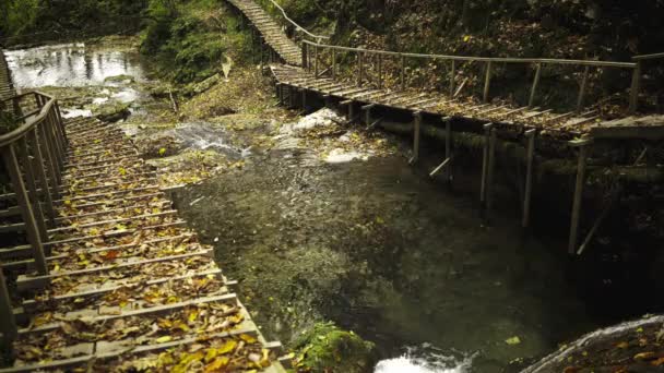 Vista superior de una cascada natural en Sochi — Vídeo de stock