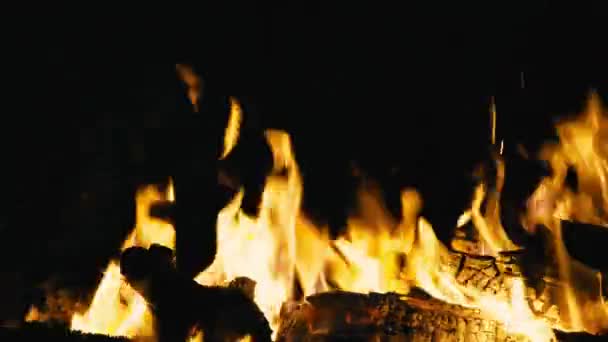 Fogueira queimando à noite, close-up — Vídeo de Stock