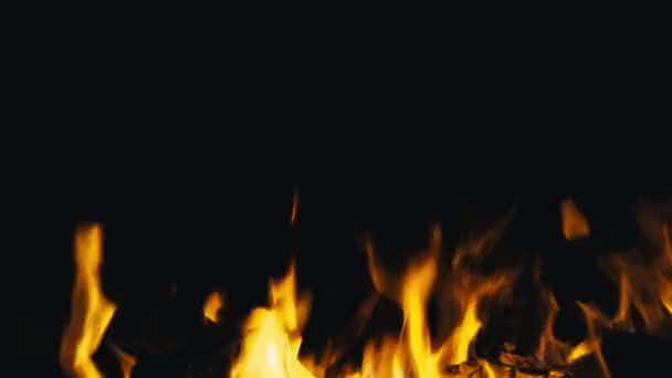 Lägerelden bränning på kvällen — Stockvideo