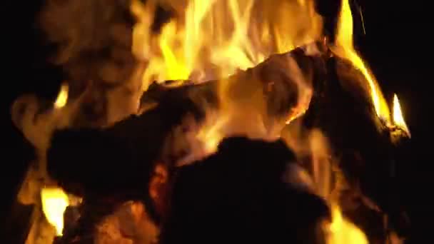 Lagerfeuer, das nachts brennt, verschwommen, abstrakt — Stockvideo