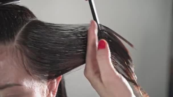 Mujer peluquero s mano corte su morena cliente s cabello — Vídeo de stock