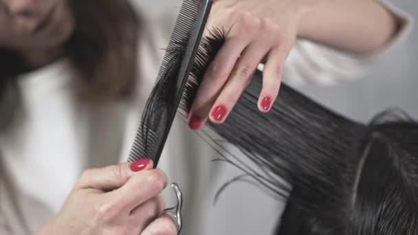 Руки молодого профессионального парикмахера, стригущего тёмные длинные волосы своей клиентки — стоковое видео
