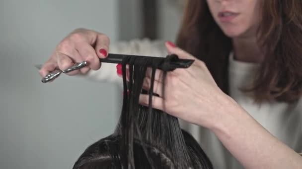 Joven peluquera cortando pelo largo oscuro de su cliente — Vídeo de stock