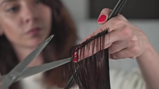 Jeune coiffeur professionnel coupant les cheveux longs foncés de son client — Video