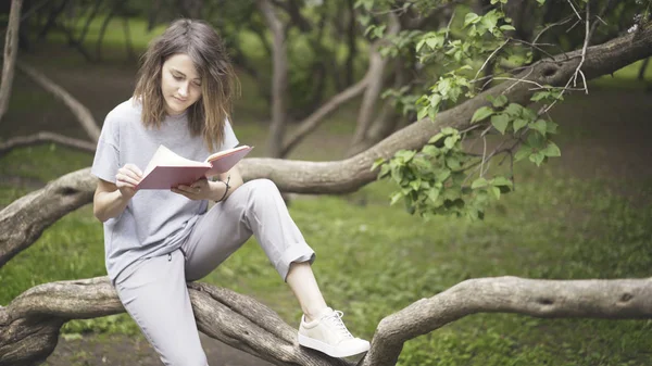 Uma menina branca morena está lendo um livro no parque — Fotografia de Stock